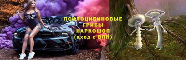 стаф Верея